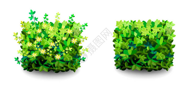 花园灌木绿色花园植被灌木图标用于装饰景观公园花园或绿色围栏的观赏植物灌木浓密的灌木丛春季和夏季卡背景图片