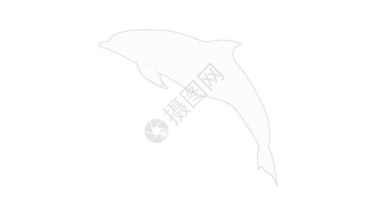 Dolphines3d白工作室背景孤立的Dolphines翻譯图片