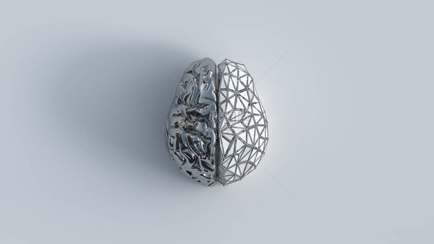 人体大脑的反射金属左侧和白色政治网格右侧图片