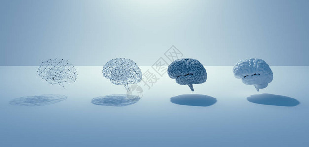 AI构建步骤的3d渲染到人脑4个大脑网格大脑到真正的大脑白色图片