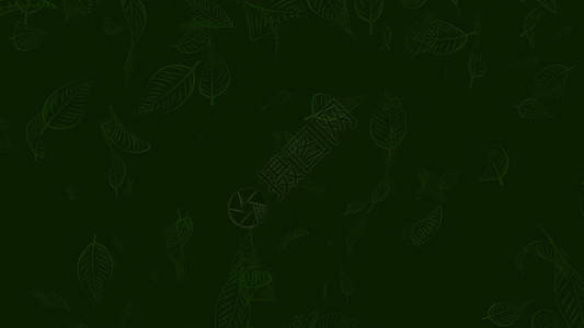 叶子纹理或叶子背景的3d渲染图片