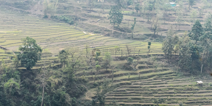 印度北安查尔平原的梯田种植亚洲梯田耕作发生在北方邦旁遮普邦梅加拉亚邦哈里亚纳邦喜马偕尔邦和北阿图片
