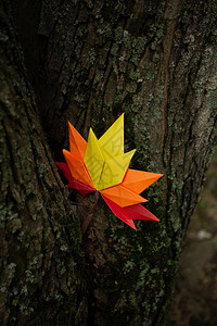 秋季概念背景传统纸工艺手工折纸落枫叶自然彩色背景图像非常适图片