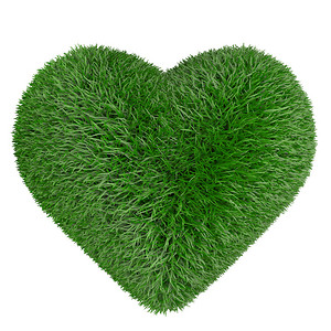 草原的心形爱绿色心形草图片