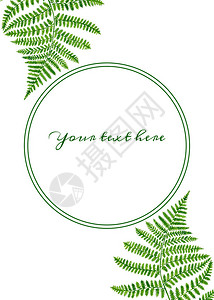 手画森林植物模板背景图片