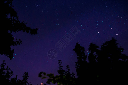 夜空穿过树丛星蓝色天图片