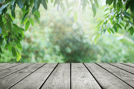 园艺背景中的木桌和模背景图片