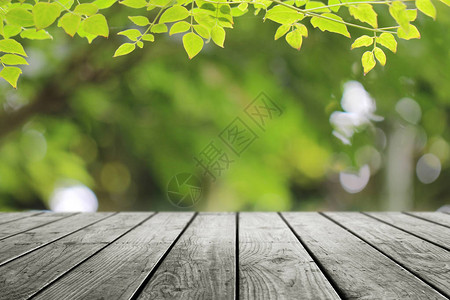 木桌和绿叶自然背景背景图片