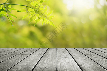 园艺背景中的木桌和模背景图片