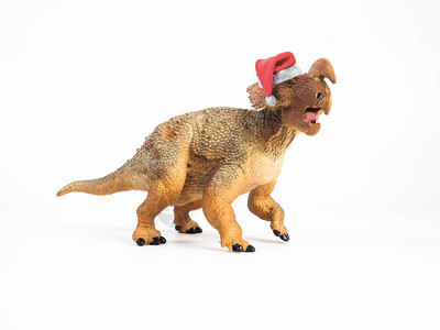 恐龙与白色上的圣诞帽图片