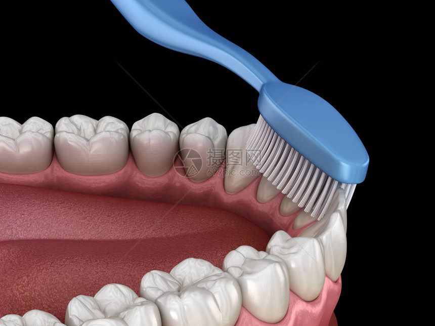 牙刷清洁牙齿口腔卫生的医学上准确的3D插图图片