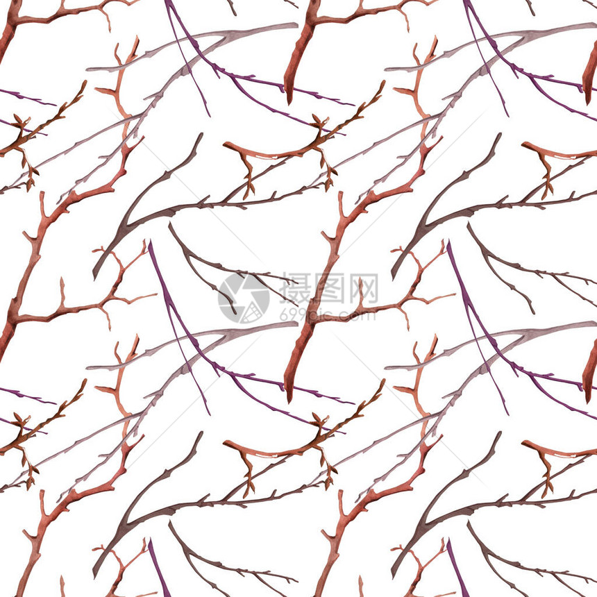 水色树枝形态无缝的花纹和树图片