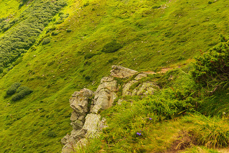 攀登乌克兰喀尔巴阡山脉的Hoverla山自然背景人类受保图片