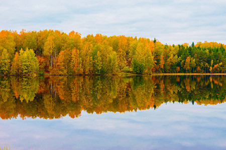 美丽的秋天风景湖中秋天森林的倒影图片
