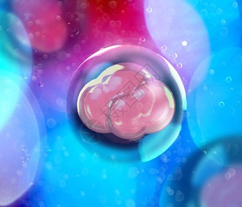 体外受精IVF是一种受精过程图片