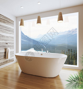 带浴缸的现代浴室豪华公寓图片