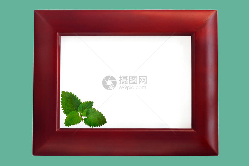 木制相框与孤立的白色背景上的绿色薄荷叶问候卡室内装饰品牌名称模型文本空间复古的颜色图片