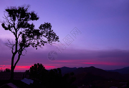 夜晚的日落背景下有树影环绕的复杂山峰风图片