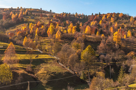 秋天喀尔巴阡山脉的风景图片
