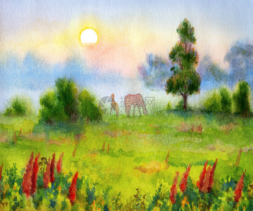 手绘艺术家水彩画素描在欢乐乡村灌木植物土地上的纸背景文本空间上秋季公园生活艺术品场景快乐的小马驹儿子温暖的春日阴霾野图片
