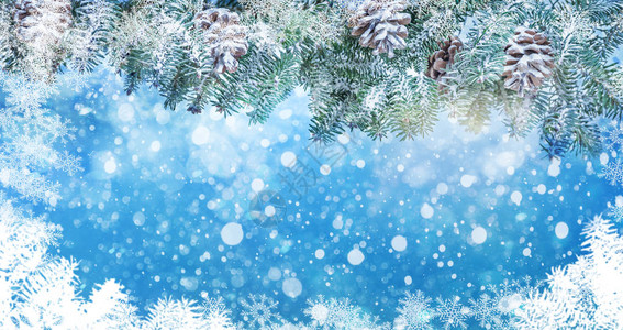 圣诞背景有雪冷杉枝和雪花图片