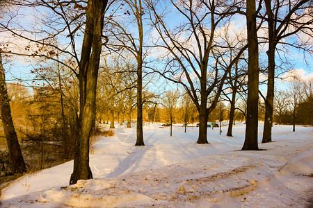 冬天的道路和雪与霜的树木景观图片