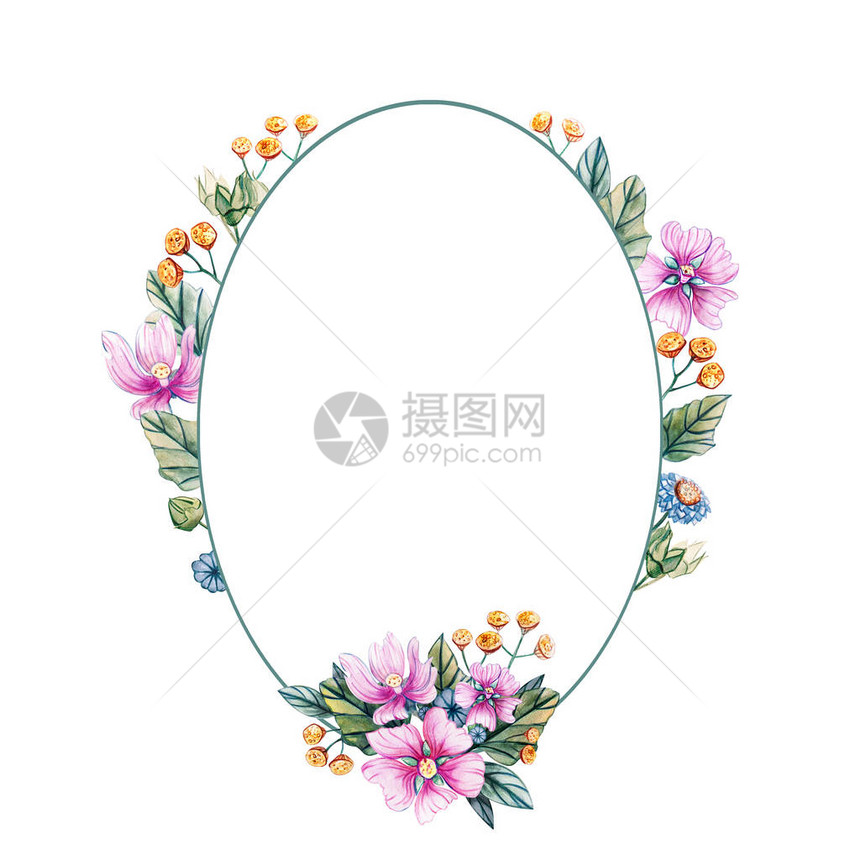水彩插图与椭圆形的野花框架为婚礼花卡有粉红色的花朵叶子和锦葵的花蕾秋季夏季和春季图片