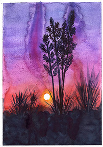 水彩插图日落晚上穗状花序花朵紫色红色图片