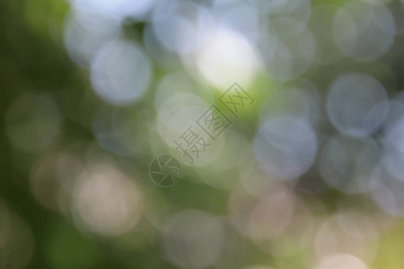 绿色可复制空间摘要壁纸de焦点blury模式中的抽象b图片