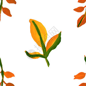 秋天黄绿橙叶枝树无缝图案图片