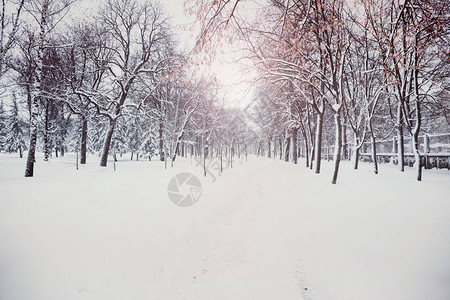 下雪天城市公园的冬季景观背景图片