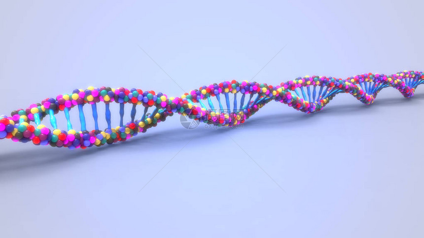 DNA结构的数图片