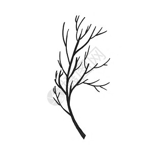 树枝的黑色线条艺术图片