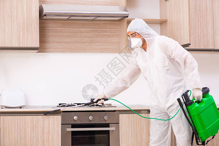 厨房害虫防治专业承包商图片
