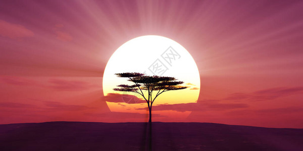 大太阳日落树景观3d插图图片