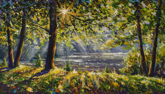 走在阳光明媚的阳光森林树画中宜人的天气太阳光线图片