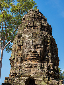 柬埔寨吴哥窟的塔普伦被联合国教科文组织列入世界遗产名录背景图片