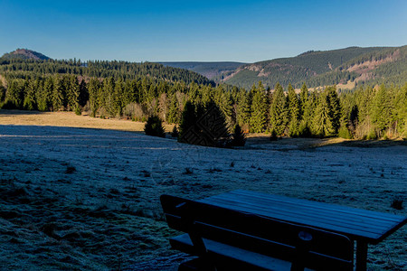 冬季新年清晨在德国苏林根市ZellaMehlis附近的Rupp图片