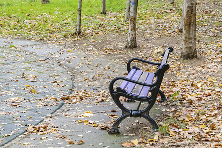 秋季公园的彩色长凳图片