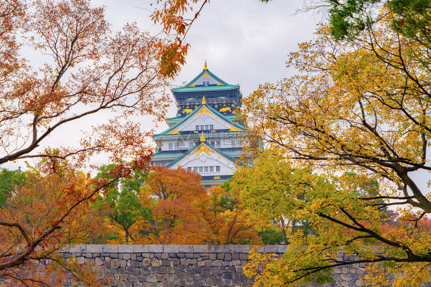 大阪城堡建筑在秋季有五颜六色的枫叶或秋天的落叶图片