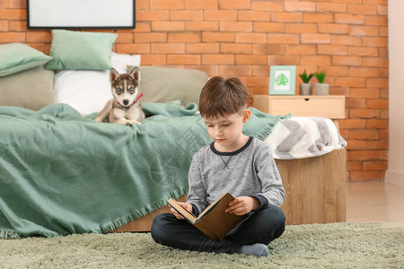 小男孩和可爱的哈士奇小狗在卧室看书图片