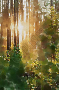 水彩色丰富的插画日落森林背景图片