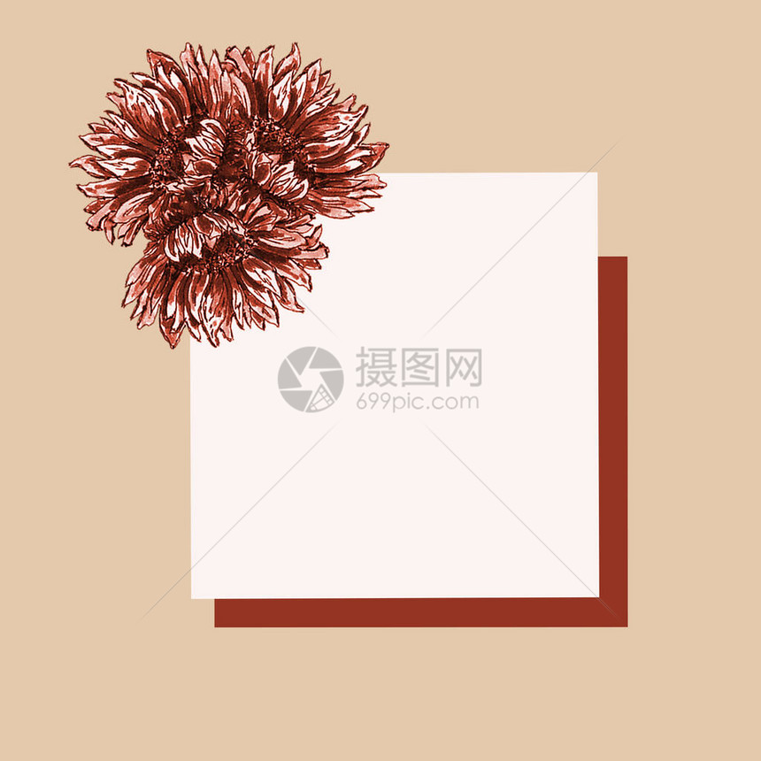 白色背景花卉装饰的明信片和节日图片