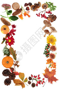秋季背景边框与食物花朵和叶子在白色背景上与复制空间顶视图图片