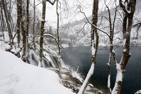 克罗地亚十六湖冰冻的冬季景观在大雪下图片