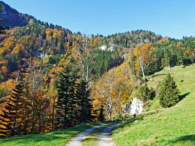 阿尔普斯坦山脉和莱茵河谷Rhennal瑞士圣加仑州SG混图片