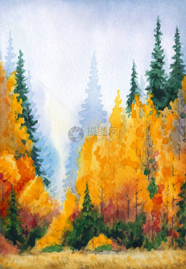 手绘水彩颜料素描纸图案背景艺术品针叶林湿雾天风景云雾景观上的空间鲜红橙色野干草植物陆地丙烯图片