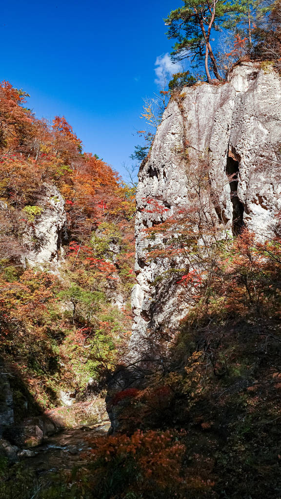 日本宫崎的鸣子峡谷景观图片