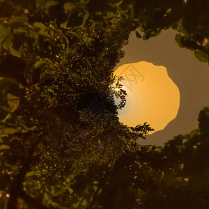 小燕子星球保护区圣路易斯波托西背景图片