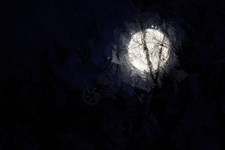 闪亮的月光照耀在冬季森林之上的美景图片